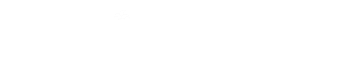 BarCamp Bonn